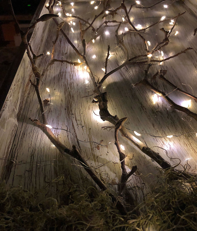 Magnolia branches in a wood box lit with fairy lights.