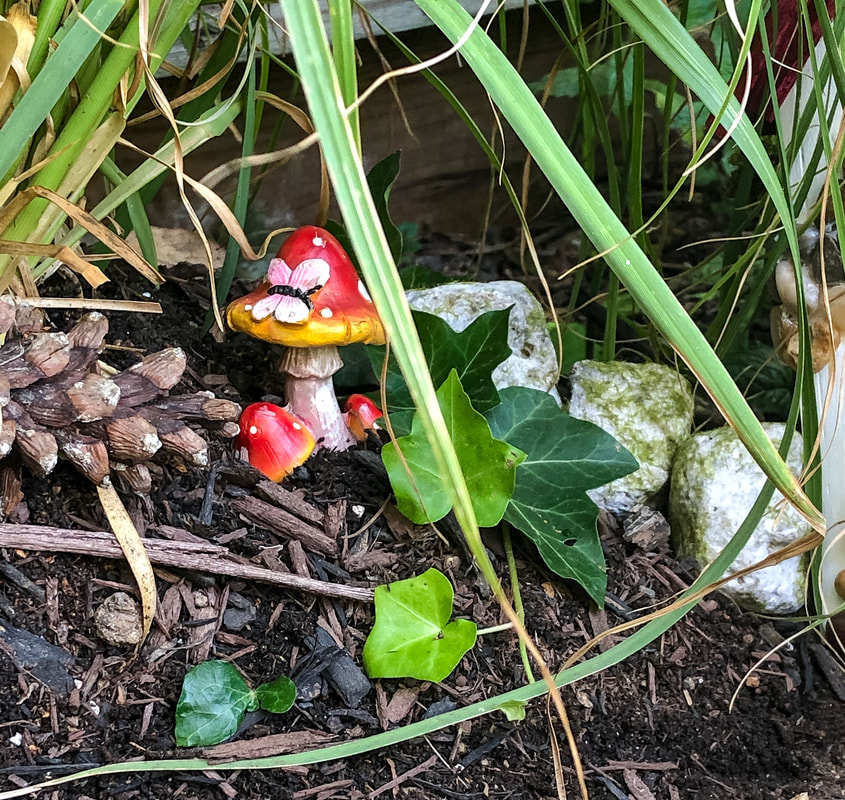 Little hiding space in a outdoor fairy garden with a mushroom and pinecone.