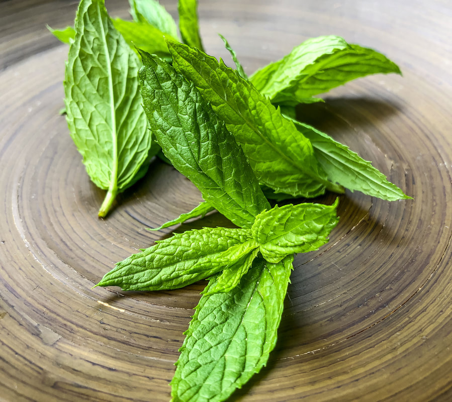 Freshly harvested mint leaves in a bowl.