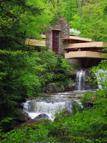 Fallingwater photo 1 by Diane M Lilly