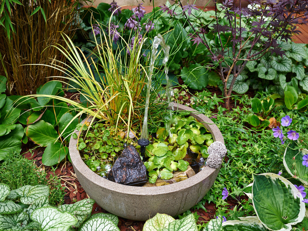 10 essential elements for a magical fairy garden