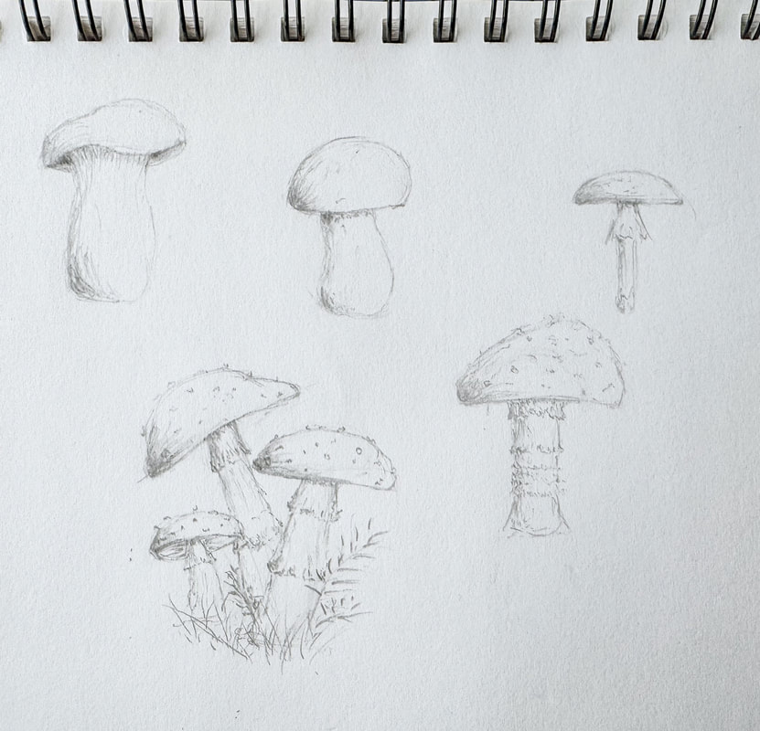 Mushroom thumbnail sketches.
